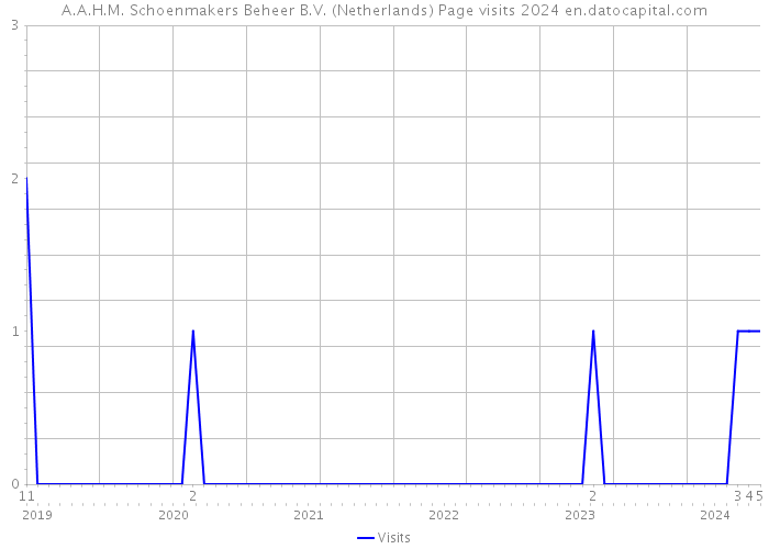 A.A.H.M. Schoenmakers Beheer B.V. (Netherlands) Page visits 2024 