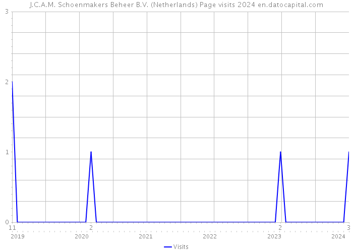 J.C.A.M. Schoenmakers Beheer B.V. (Netherlands) Page visits 2024 