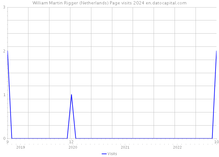 William Martin Rigger (Netherlands) Page visits 2024 