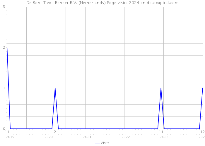 De Bont Tivoli Beheer B.V. (Netherlands) Page visits 2024 