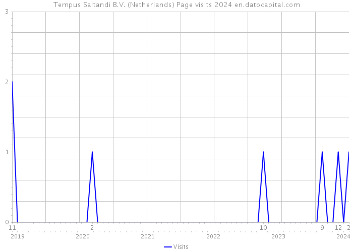 Tempus Saltandi B.V. (Netherlands) Page visits 2024 