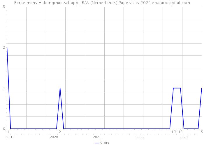 Berkelmans Holdingmaatschappij B.V. (Netherlands) Page visits 2024 