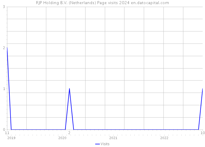 RJP Holding B.V. (Netherlands) Page visits 2024 