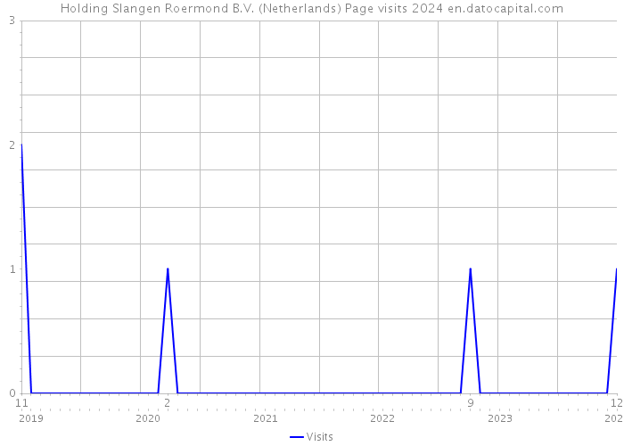 Holding Slangen Roermond B.V. (Netherlands) Page visits 2024 