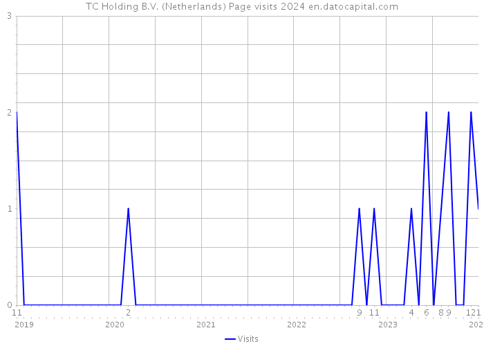 TC Holding B.V. (Netherlands) Page visits 2024 