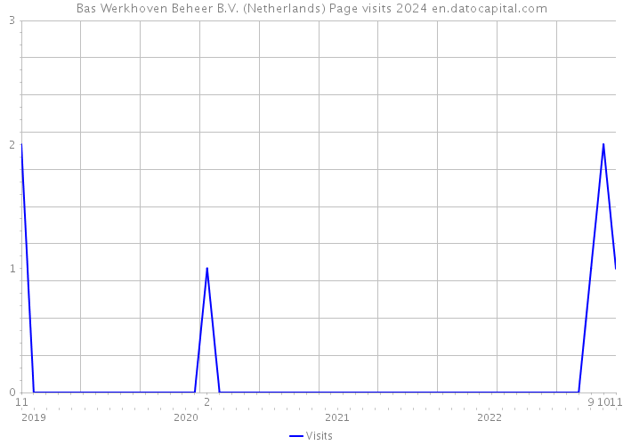 Bas Werkhoven Beheer B.V. (Netherlands) Page visits 2024 
