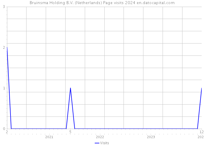 Bruinsma Holding B.V. (Netherlands) Page visits 2024 