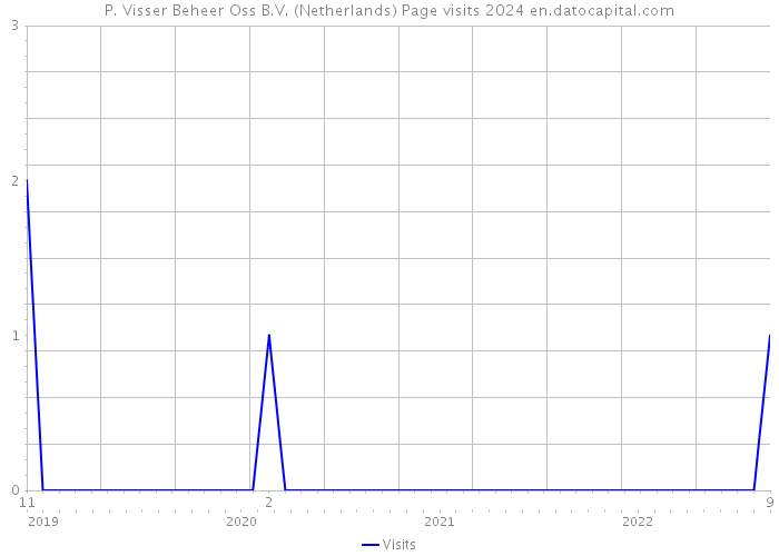 P. Visser Beheer Oss B.V. (Netherlands) Page visits 2024 