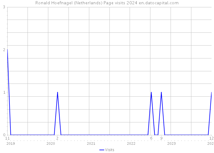 Ronald Hoefnagel (Netherlands) Page visits 2024 