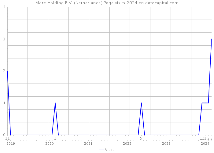 More Holding B.V. (Netherlands) Page visits 2024 