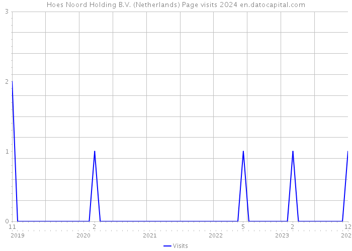 Hoes Noord Holding B.V. (Netherlands) Page visits 2024 