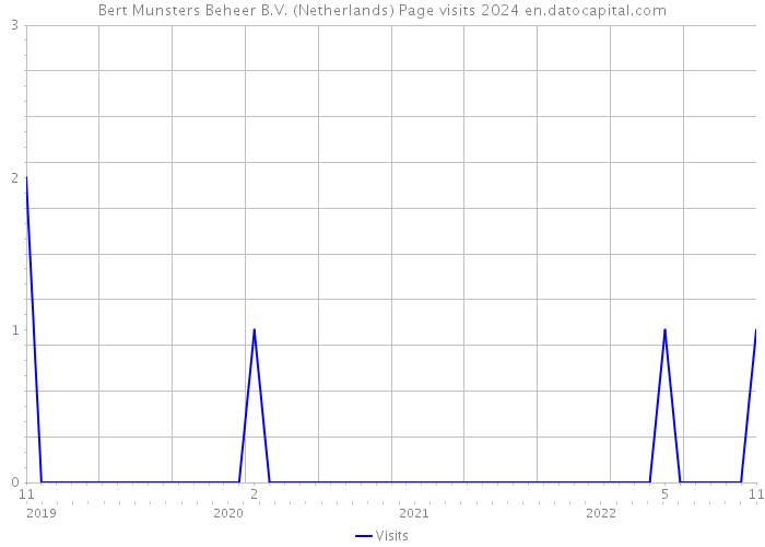 Bert Munsters Beheer B.V. (Netherlands) Page visits 2024 
