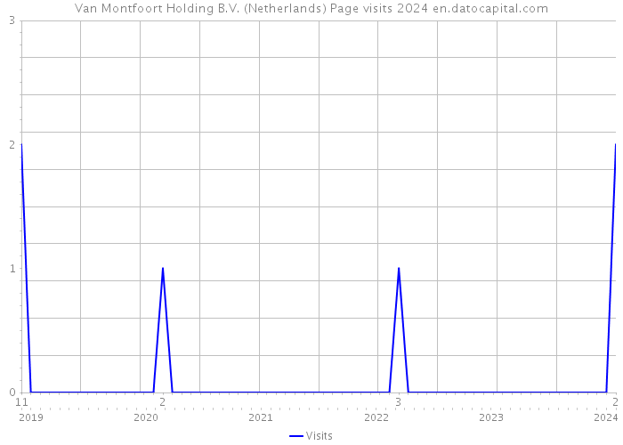 Van Montfoort Holding B.V. (Netherlands) Page visits 2024 