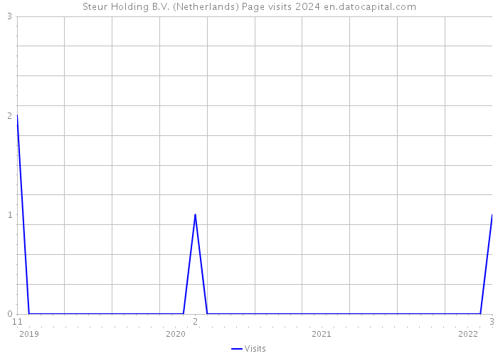 Steur Holding B.V. (Netherlands) Page visits 2024 