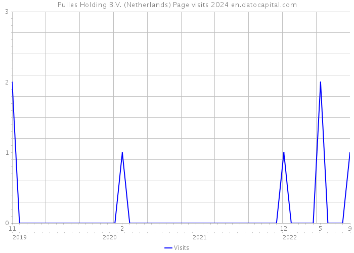 Pulles Holding B.V. (Netherlands) Page visits 2024 