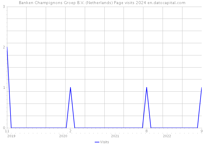 Banken Champignons Groep B.V. (Netherlands) Page visits 2024 