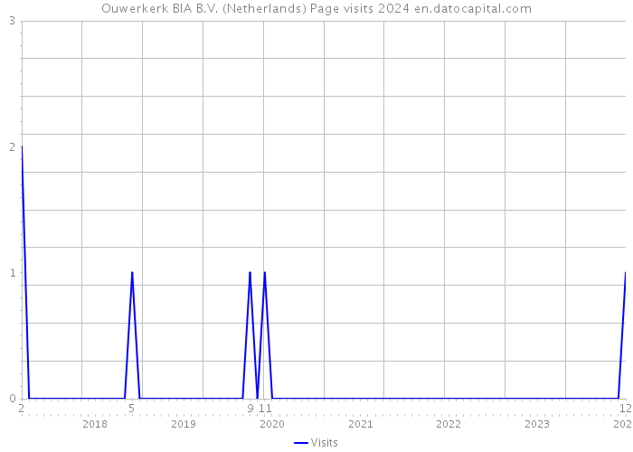 Ouwerkerk BIA B.V. (Netherlands) Page visits 2024 