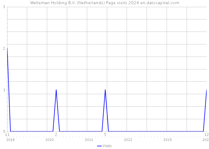 Welleman Holding B.V. (Netherlands) Page visits 2024 