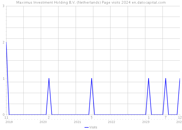 Maximus Investment Holding B.V. (Netherlands) Page visits 2024 