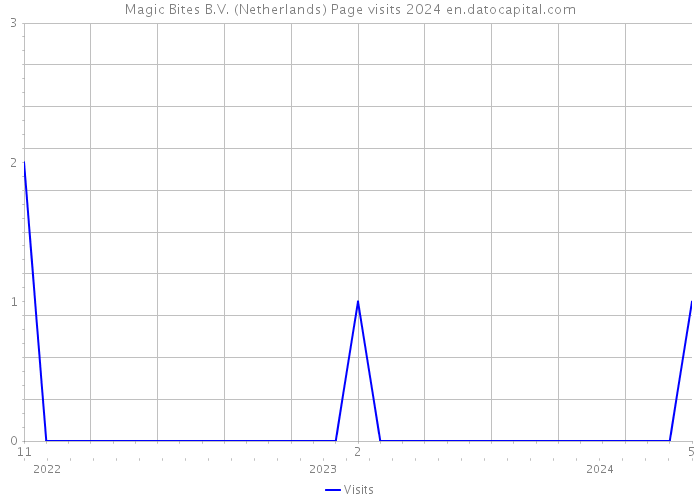 Magic Bites B.V. (Netherlands) Page visits 2024 