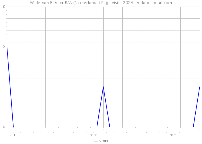 Welleman Beheer B.V. (Netherlands) Page visits 2024 