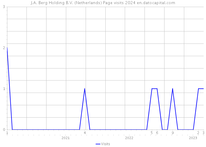 J.A. Berg Holding B.V. (Netherlands) Page visits 2024 