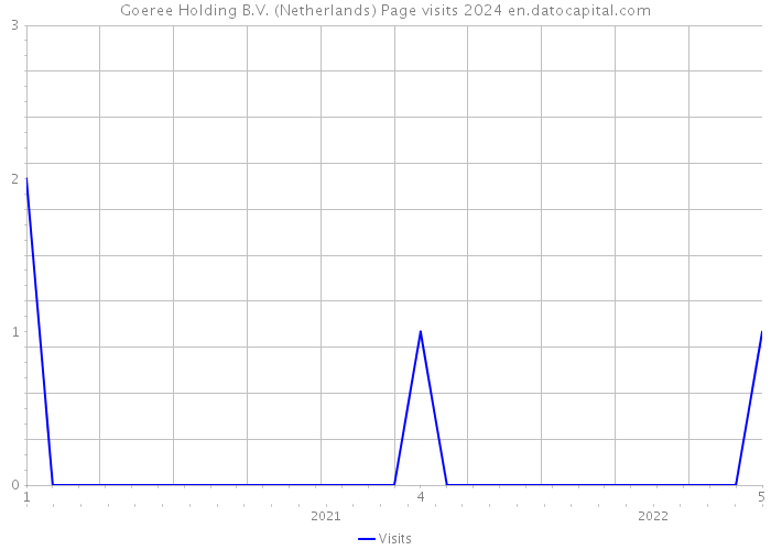 Goeree Holding B.V. (Netherlands) Page visits 2024 