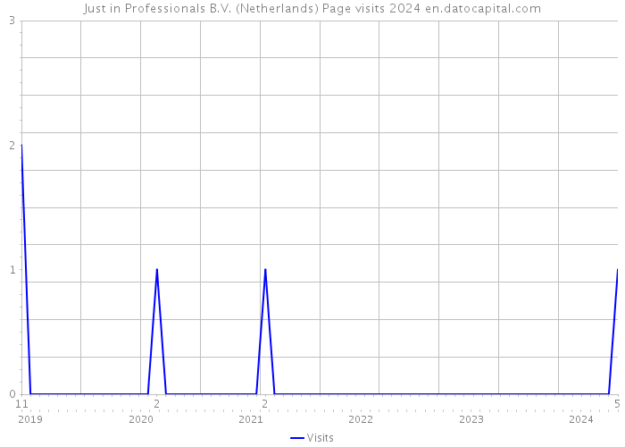 Just in Professionals B.V. (Netherlands) Page visits 2024 