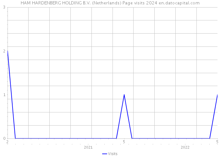 HAM HARDENBERG HOLDING B.V. (Netherlands) Page visits 2024 
