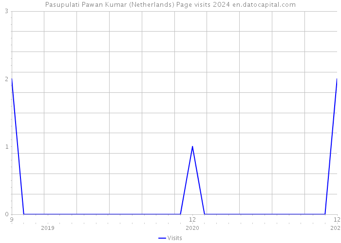 Pasupulati Pawan Kumar (Netherlands) Page visits 2024 