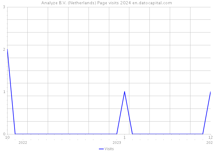 Analyze B.V. (Netherlands) Page visits 2024 