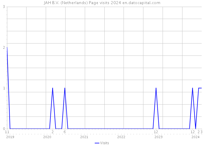 JAH B.V. (Netherlands) Page visits 2024 