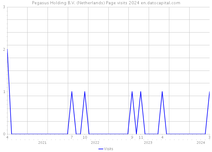 Pegasus Holding B.V. (Netherlands) Page visits 2024 