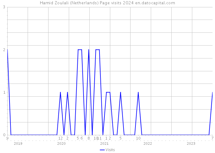 Hamid Zoulali (Netherlands) Page visits 2024 