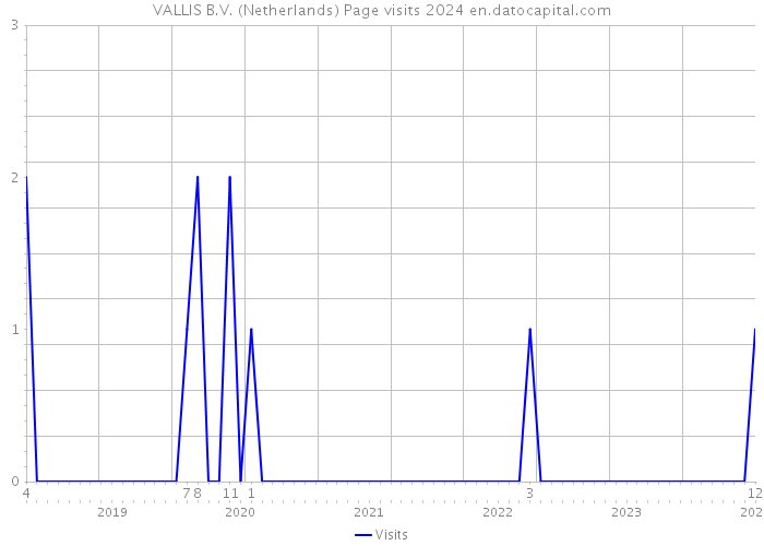 VALLIS B.V. (Netherlands) Page visits 2024 