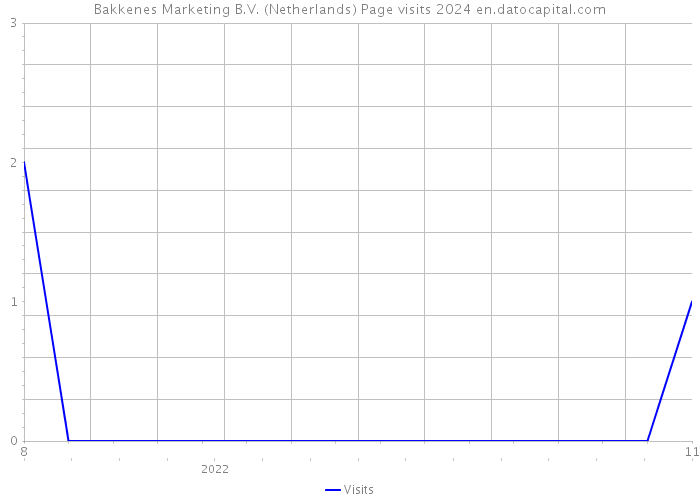 Bakkenes Marketing B.V. (Netherlands) Page visits 2024 