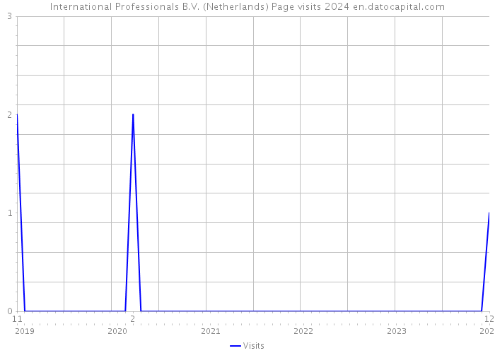International Professionals B.V. (Netherlands) Page visits 2024 