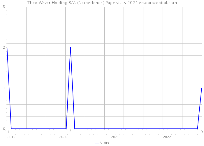 Theo Wever Holding B.V. (Netherlands) Page visits 2024 