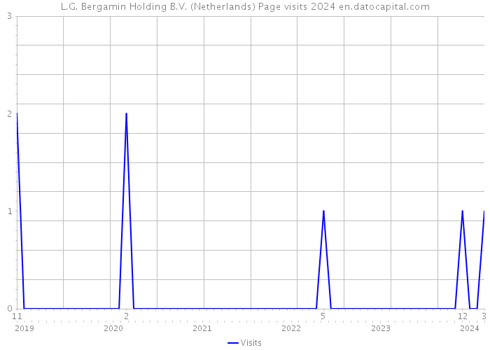 L.G. Bergamin Holding B.V. (Netherlands) Page visits 2024 