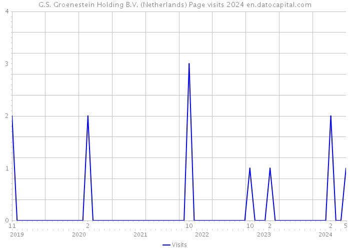 G.S. Groenestein Holding B.V. (Netherlands) Page visits 2024 