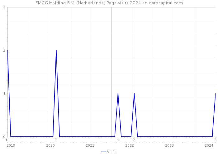 FMCG Holding B.V. (Netherlands) Page visits 2024 