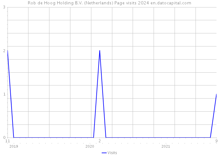 Rob de Hoog Holding B.V. (Netherlands) Page visits 2024 