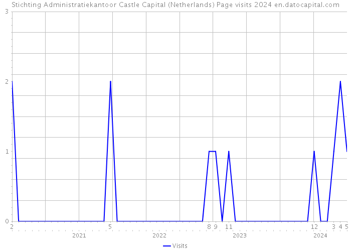 Stichting Administratiekantoor Castle Capital (Netherlands) Page visits 2024 