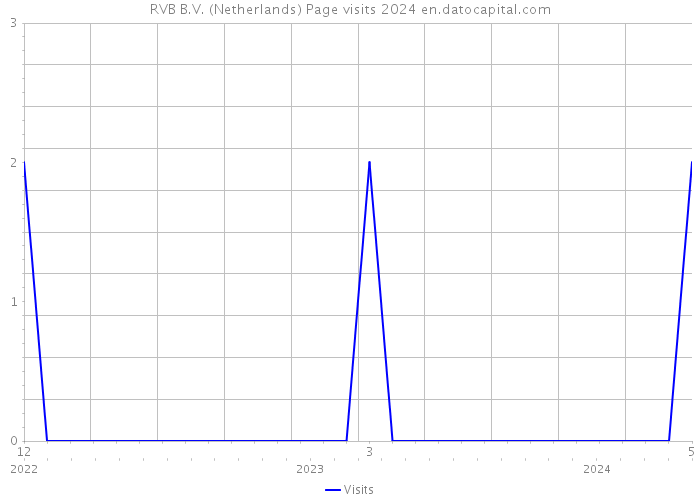 RVB B.V. (Netherlands) Page visits 2024 