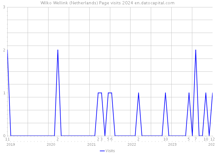 Wilko Wellink (Netherlands) Page visits 2024 