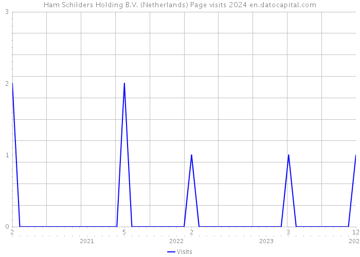 Ham Schilders Holding B.V. (Netherlands) Page visits 2024 