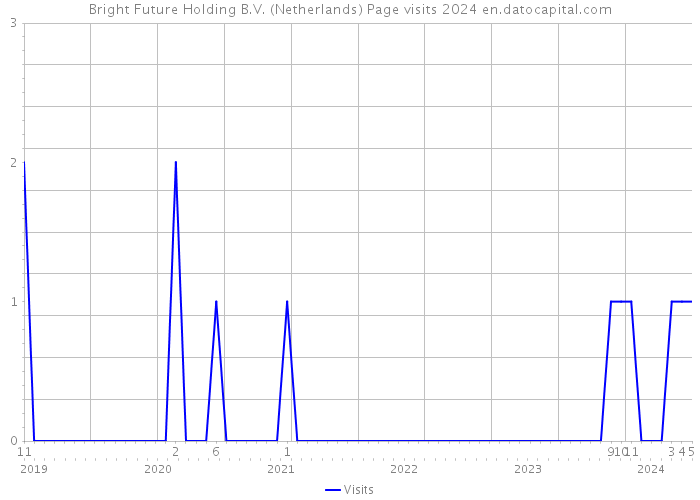 Bright Future Holding B.V. (Netherlands) Page visits 2024 