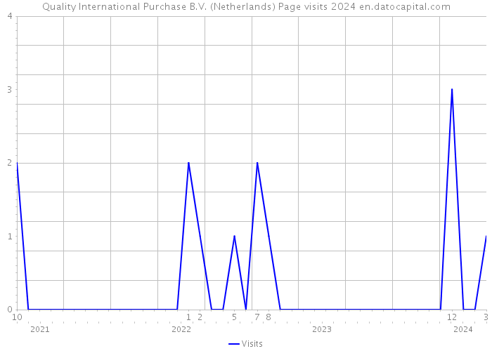 Quality International Purchase B.V. (Netherlands) Page visits 2024 