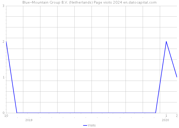 Blue-Mountain Group B.V. (Netherlands) Page visits 2024 