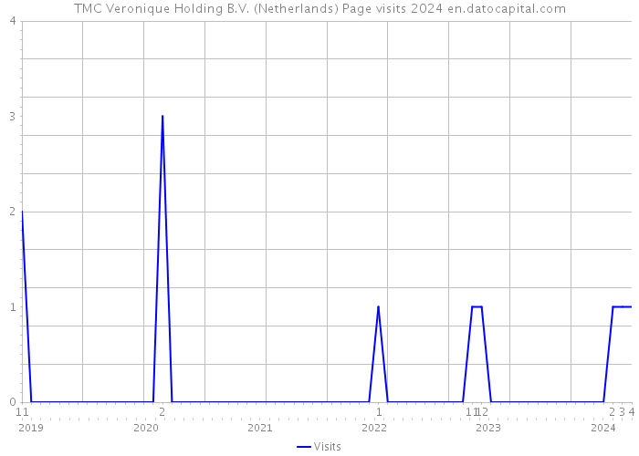 TMC Veronique Holding B.V. (Netherlands) Page visits 2024 